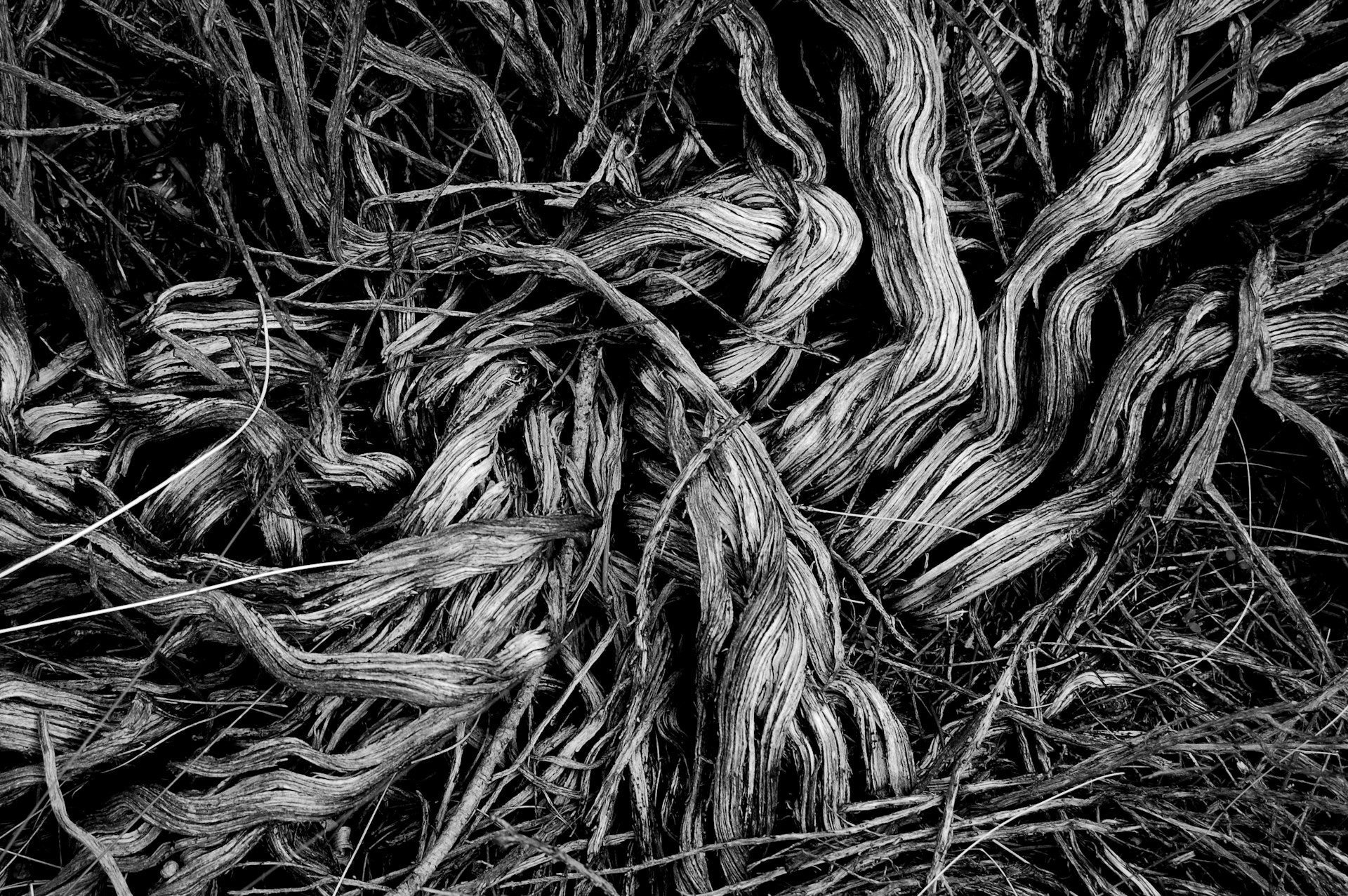 Why Everything Comes Back to Your Gut
