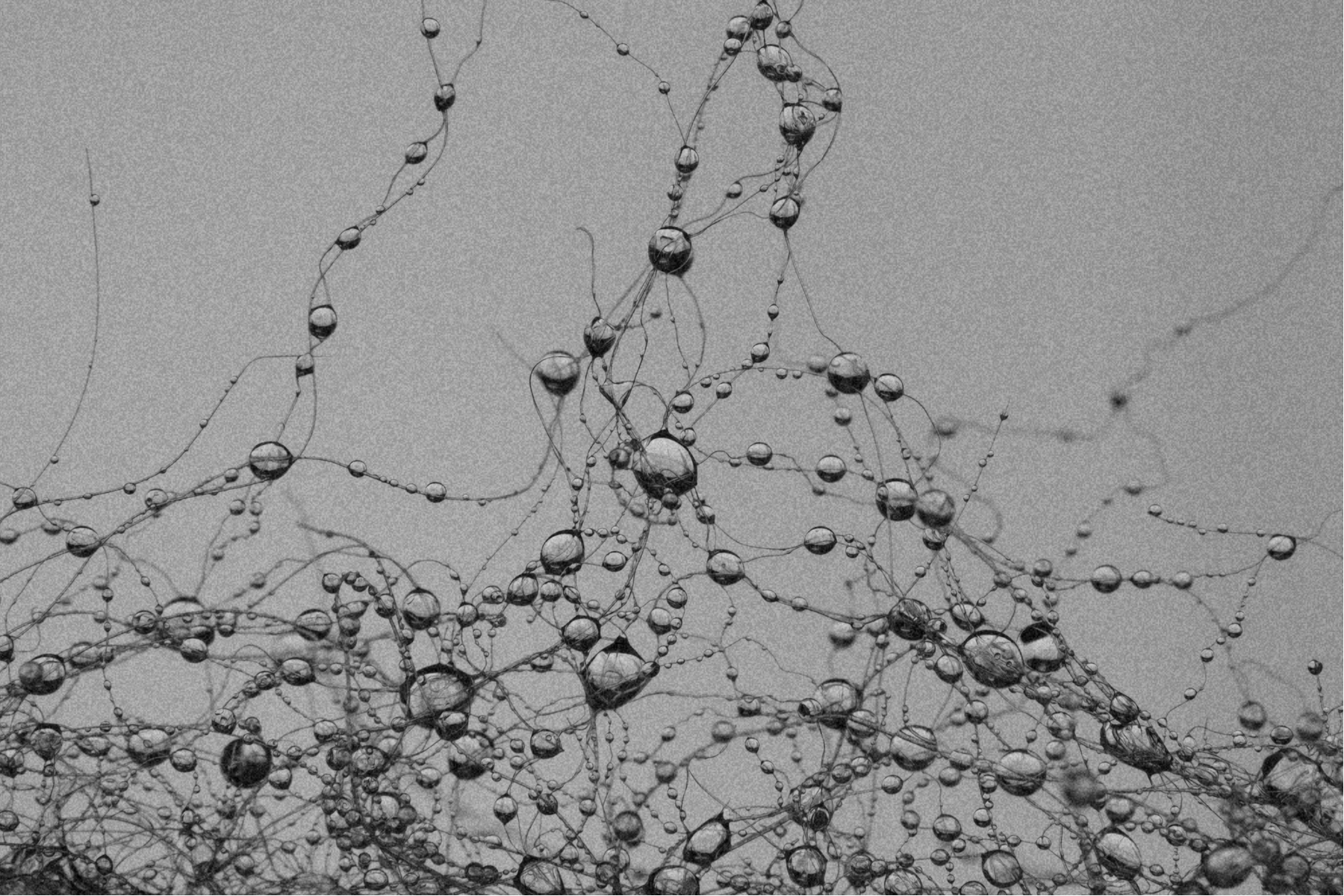 Close-up of a textured surface with bubbles and cracks